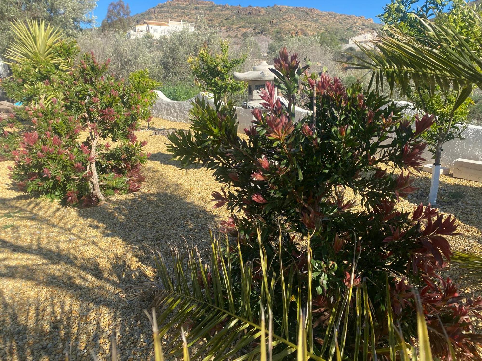 Cortijo Los Corazones Cantoria Luaran gambar